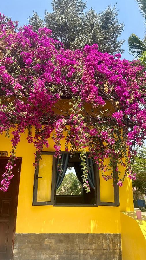 Bao Dien Guesthouse Bao Loc Dış mekan fotoğraf